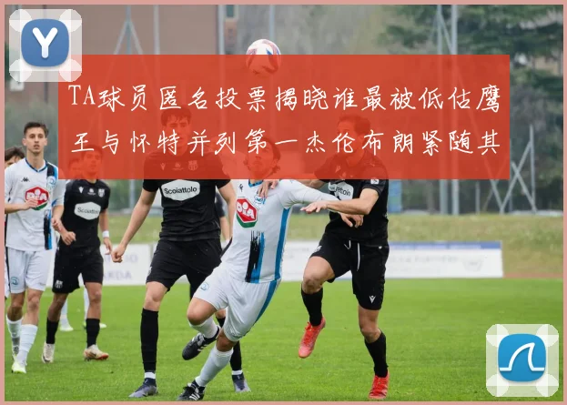 TA球员匿名投票揭晓谁最被低估鹰王与怀特并列第一杰伦布朗紧随其后