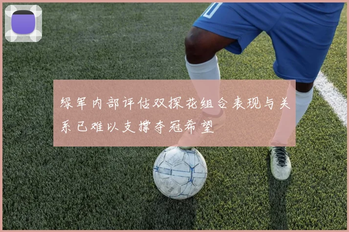 绿军内部评估双探花组合表现与关系已难以支撑夺冠希望